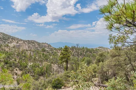 9851 N Willow Loop, Mount Lemmon, AZ 85619 photo 48