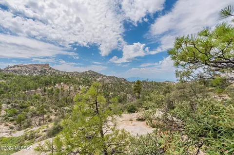 9851 N Willow Loop, Mount Lemmon, AZ 85619 photo 49