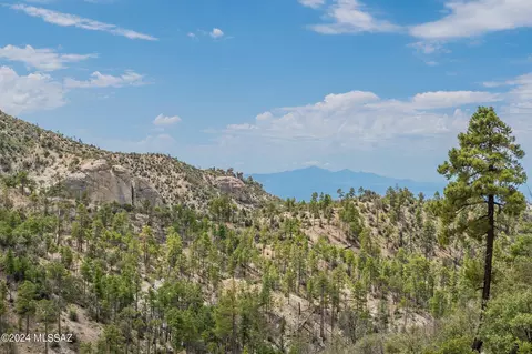 9851 N Willow Loop, Mount Lemmon, AZ 85619 photo 31