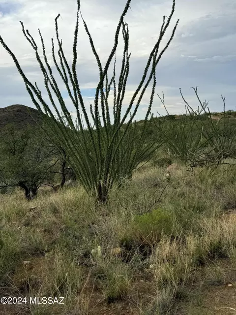 14200 Winthrop Rd, Tucson, AZ 85736