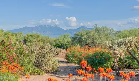 1566 N Rio Mayo, Green Valley, AZ 85614