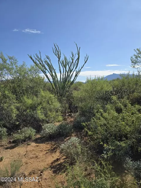 8625 S Rincon Valley Ranch Rd, Vail, AZ 85641