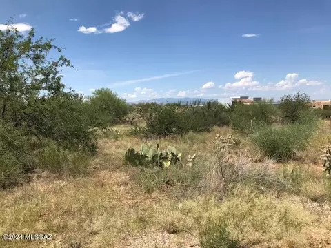 876 S Houghton Rd, Corona De Tucson, AZ 85641