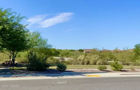 11301 E Squash Blossom Loop, Tucson, AZ 85747 photo 45