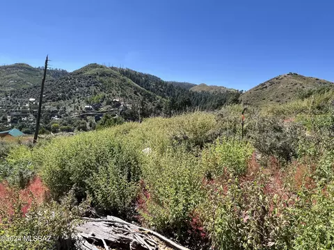 12975 N Tempe Ave, Mount Lemmon, AZ 85619 photo 6