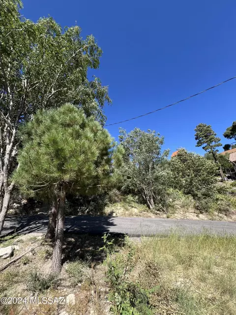12975 N Tempe Ave, Mount Lemmon, AZ 85619 photo 12