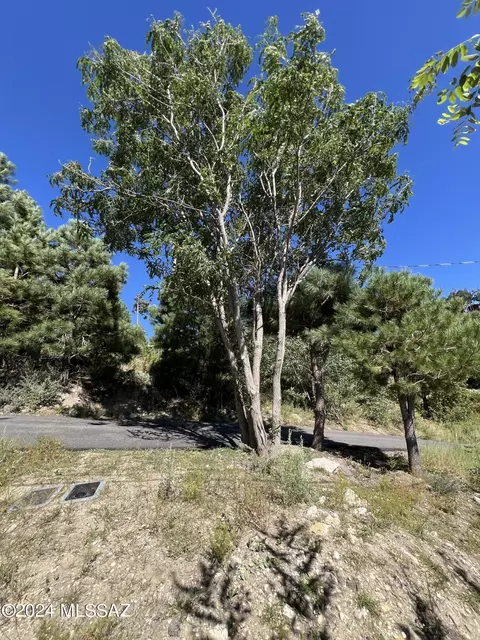 12975 N Tempe Ave, Mount Lemmon, AZ 85619 photo 11