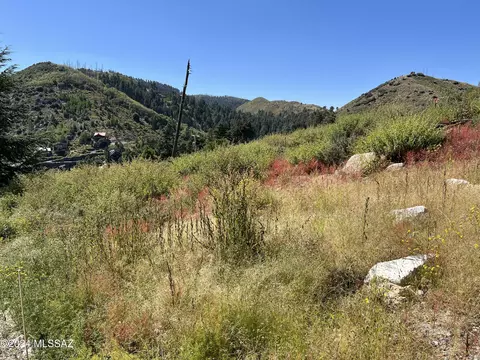 12975 N Tempe Ave, Mount Lemmon, AZ 85619 photo 9