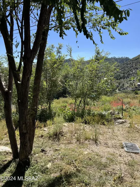 12975 N Tempe Ave, Mount Lemmon, AZ 85619 photo 10