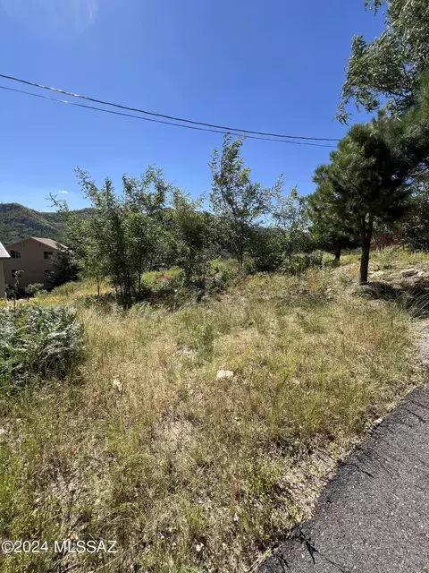 12975 N Tempe Ave, Mount Lemmon, AZ 85619 photo 8
