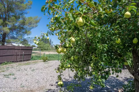 1003 E Irene St, Pearce, AZ 85625 photo 23