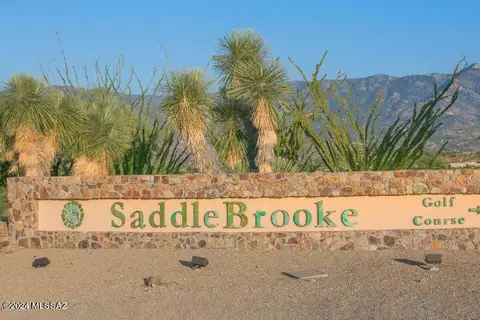 Other - 37658 S Hill Side Dr, Saddlebrooke, AZ 85739 photo 11 of 13