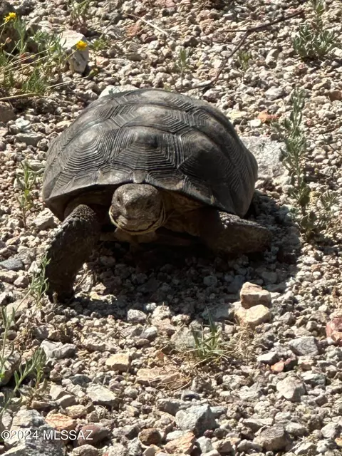 Other - 6440 S Upper Valley Rd, Vail, AZ 85641 photo 16 of 18