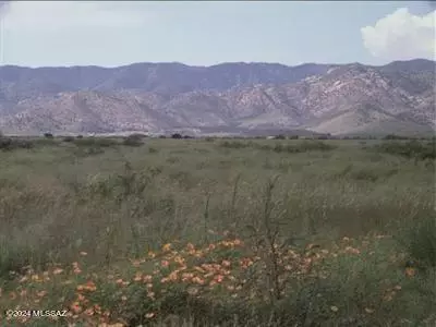 Irene Street, Pearce, AZ 85625