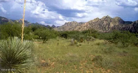 000 E Cougar Trl, Saint David, AZ 85630