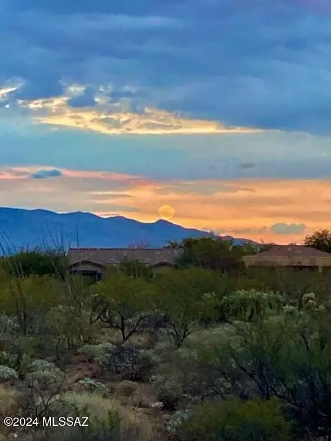 Other - 17557 S Garden Sage Loop, Vail, AZ 85641 photo 10 of 17