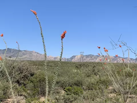 E Dragoon Ranch Road, Saint David, AZ 85630
