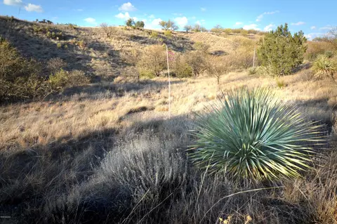 214 Tanglehead Ln, Patagonia, AZ 85624