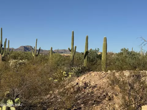 10510 N Blue Bonnet Rd, Tucson, AZ 85742