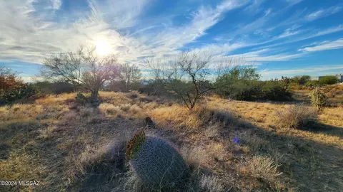 16155 W Ravinia Ave, Tucson, AZ 85736