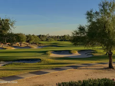 8698 N Arnold Palmer Dr, Tucson, AZ 85742