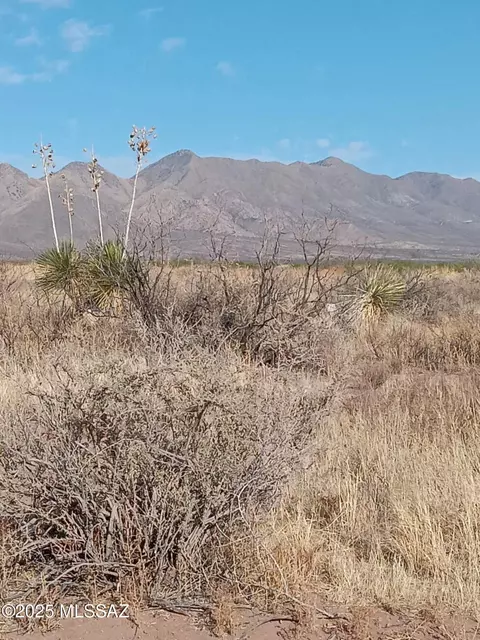 tbd N Bell Rd, Elfrida, AZ 85610