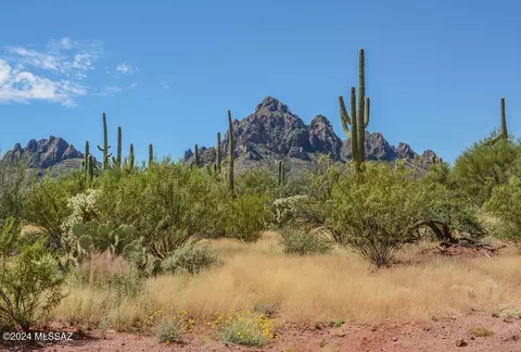 No Address, Marana, AZ 85653
