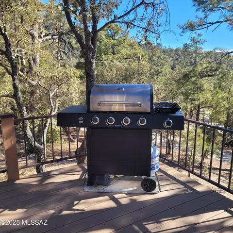 Exterior - 9831 N Willow, Mount Lemmon, AZ 85619 photo 5 of 8
