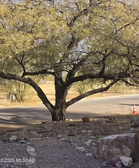 Other - 996 E Geneva St, Pearce, AZ 85625 photo 5 of 11