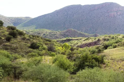000 Alamo Canyon Dr, Tubac, AZ 85646