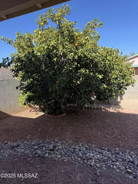 Exterior - 1638 W Sauvignon Dr, Tucson, AZ 85746 photo 3 of 3