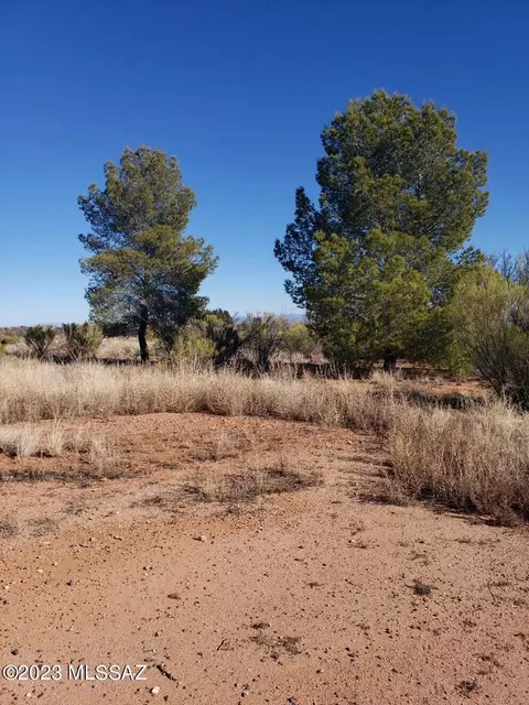 7853 E Chippewa St, Hereford, AZ 85615 photo 3