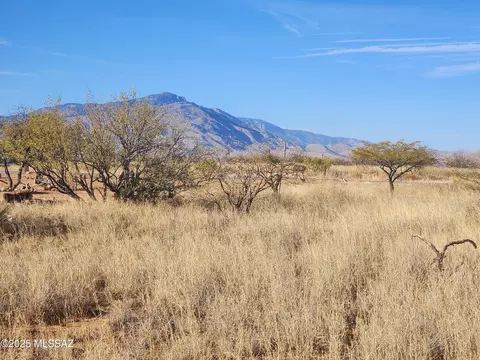 16330 S Whetstone Ave #172, Benson, AZ 85602