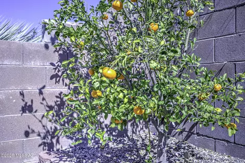 Other - 8517 S Maritime Pl, Tucson, AZ 85756 photo 5 of 6