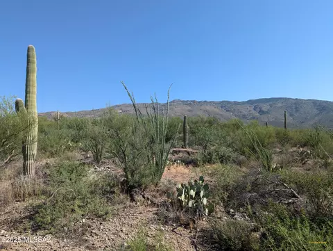 0000 E Rincon Creek Ranch Rd, Tucson, AZ 85747