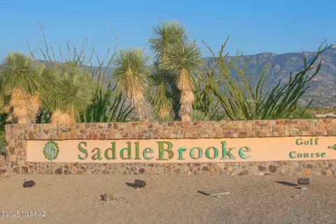 63286 E Harmony Dr, Saddlebrooke, AZ 85739 photo 45