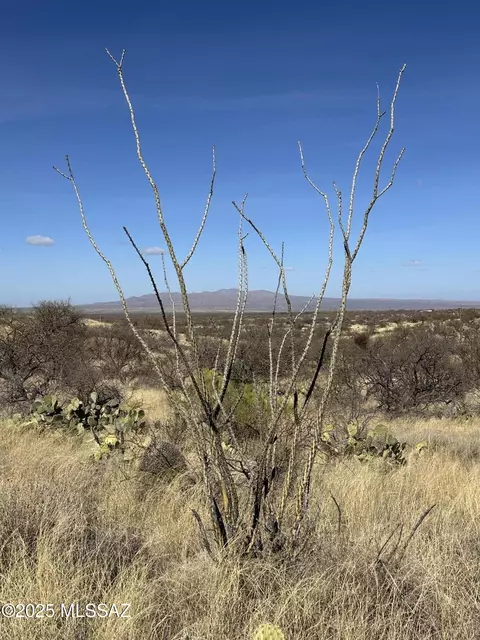 6 6 Acres Off W Linda Vista Rd, Oracle, AZ 85623