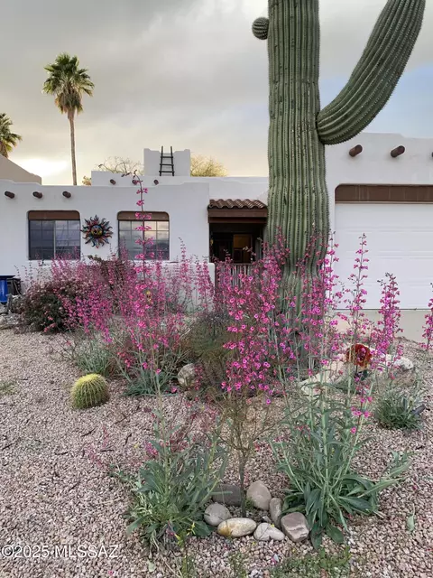 9281 N Camino De La Tierra, Tucson, AZ 85742
