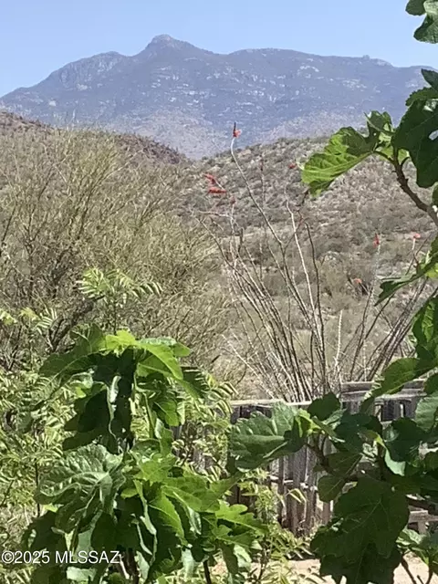15698 E Colossal Cave Rd, Vail, AZ 85641 photo 3