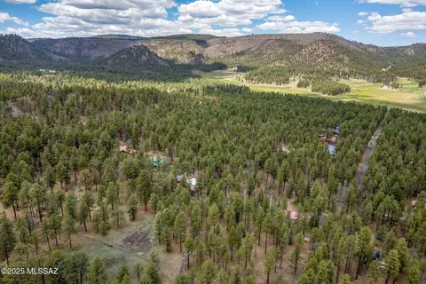 14 Colorados Ln #2050, Alpine, AZ 85920