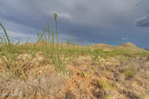 9783 E Ocotillo Rim Trl, Vail, AZ 85641 photo 23