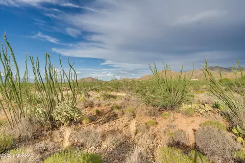 9783 E Ocotillo Rim Trl, Vail, AZ 85641 photo 19