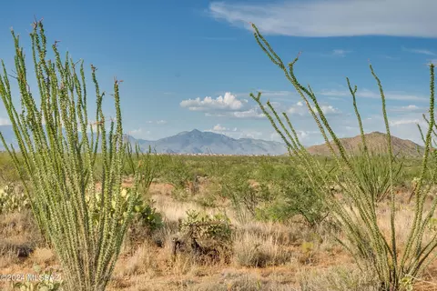 9783 E Ocotillo Rim Trl, Vail, AZ 85641 photo 21