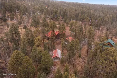 View/Area - 9 County Road 2074, Alpine, AZ 85920 photo 6 of 6