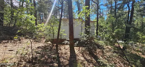 229 W Pine Shadow Dr, Lakeside, AZ 85929 photo 16