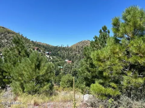 12802 N Ray Ave, Mount Lemmon, AZ 85619