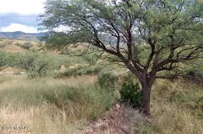 178 Tanglehead Ln, Patagonia, AZ 85624