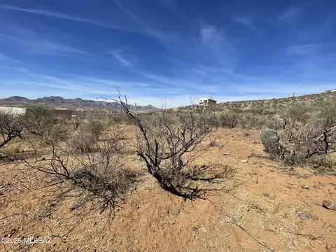 1595 Tigre Ct, Rio Rico, AZ 85648