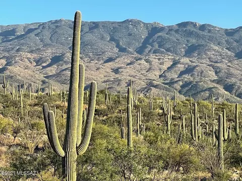 3051 N Placita De Nazca, Tucson, AZ 85749