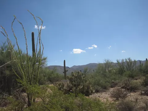 000 N Owl Head Ranch Rd, Marana, AZ 85658
